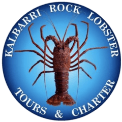 kalbarrirocklobstertoursandcharter