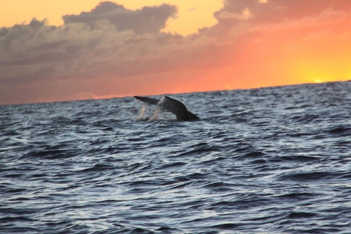 a sunset over a body of water